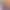 https://shared.akamai.steamstatic.com/store_item_assets/steam/apps/2097770/header.jpg?t=1748935082