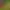 https://shared.akamai.steamstatic.com/store_item_assets/steam/apps/2098840/header.jpg?t=1749061902