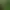 https://shared.akamai.steamstatic.com/store_item_assets/steam/apps/2098930/header.jpg?t=1745098941