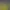 https://shared.akamai.steamstatic.com/store_item_assets/steam/apps/2099010/header.jpg?t=1677009293