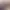 https://shared.akamai.steamstatic.com/store_item_assets/steam/apps/2101190/header.jpg?t=1741319385