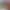 https://shared.akamai.steamstatic.com/store_item_assets/steam/apps/2113490/header.jpg?t=1705323541