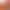 https://shared.akamai.steamstatic.com/store_item_assets/steam/apps/2116670/header.jpg?t=1663473343