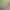 https://shared.akamai.steamstatic.com/store_item_assets/steam/apps/2120240/header.jpg?t=1734200635