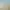 https://shared.akamai.steamstatic.com/store_item_assets/steam/apps/2120310/header.jpg?t=1713367768