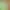 https://shared.akamai.steamstatic.com/store_item_assets/steam/apps/2128020/header.jpg?t=1662918696