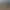 Zoo Simulator.