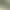Zoo Simulator.