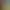 Zoo Simulator.