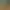 Zoo Simulator.