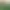 Zoo Simulator.