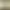 Zoo Simulator.