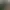 Zoo Simulator.