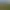 Zoo Simulator.