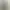 Zoo Simulator.