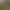 Zoo Simulator.
