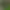 Zoo Simulator.