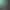 Zoo Simulator.