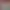 https://shared.akamai.steamstatic.com/store_item_assets/steam/apps/2134860/header.jpg?t=1748288364