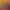 https://shared.akamai.steamstatic.com/store_item_assets/steam/apps/2135030/header.jpg?t=1750452346