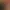https://shared.akamai.steamstatic.com/store_item_assets/steam/apps/2135740/header.jpg?t=1741150517