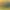 https://shared.akamai.steamstatic.com/store_item_assets/steam/apps/2139290/header.jpg?t=1743813226