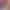 https://shared.akamai.steamstatic.com/store_item_assets/steam/apps/2140080/header.jpg?t=1699459233