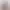 https://shared.akamai.steamstatic.com/store_item_assets/steam/apps/2143410/header.jpg?t=1673166331