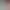 https://shared.akamai.steamstatic.com/store_item_assets/steam/apps/2143980/header.jpg?t=1723890179