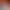 https://shared.akamai.steamstatic.com/store_item_assets/steam/apps/2145460/7a3f18c041e2d35848cb33978354b78eea5580de/header.jpg?t=1750530198