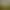 Scientifically Accurate Dinosaur Mating Simulator 2022: American Revolution 1775 - 1786.