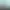 Many Minigames.