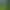 Treasure Hunter VR.