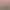 https://shared.akamai.steamstatic.com/store_item_assets/steam/apps/2173640/header.jpg?t=1725287029
