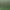 https://shared.akamai.steamstatic.com/store_item_assets/steam/apps/2173760/header.jpg?t=1745576897
