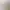 https://shared.akamai.steamstatic.com/store_item_assets/steam/apps/2175540/header.jpg?t=1730958188