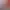 https://shared.akamai.steamstatic.com/store_item_assets/steam/apps/2179300/header.jpg?t=1745897053