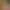 https://shared.akamai.steamstatic.com/store_item_assets/steam/apps/2193760/header.jpg?t=1680481816