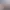 https://shared.akamai.steamstatic.com/store_item_assets/steam/apps/2194510/header.jpg?t=1735744918