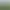 Green Valley.