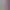 https://shared.akamai.steamstatic.com/store_item_assets/steam/apps/2196320/header.jpg?t=1741438064