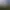 Hunting Life VR: Dove Season.