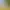 Hunting Life VR: Dove Season.