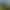 Farming Simulator 2013: Ursus.