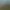 Farming Simulator 2013: Ursus.