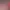 https://shared.akamai.steamstatic.com/store_item_assets/steam/apps/2205230/header.jpg?t=1736270749