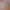 https://shared.akamai.steamstatic.com/store_item_assets/steam/apps/2209890/header.jpg?t=1731078711