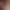 https://shared.akamai.steamstatic.com/store_item_assets/steam/apps/2213980/header.jpg?t=1732314604