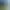 Button VR.
