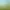 https://shared.akamai.steamstatic.com/store_item_assets/steam/apps/222730/header.jpg?t=1730204355